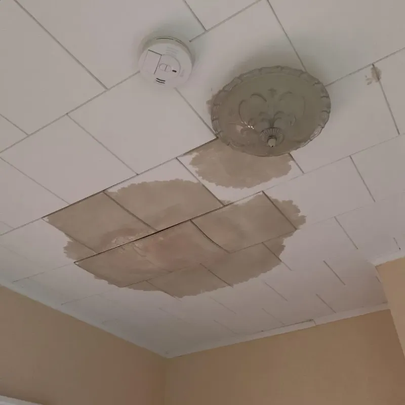 Ceiling Water Damage Repair in Quakertown, PA