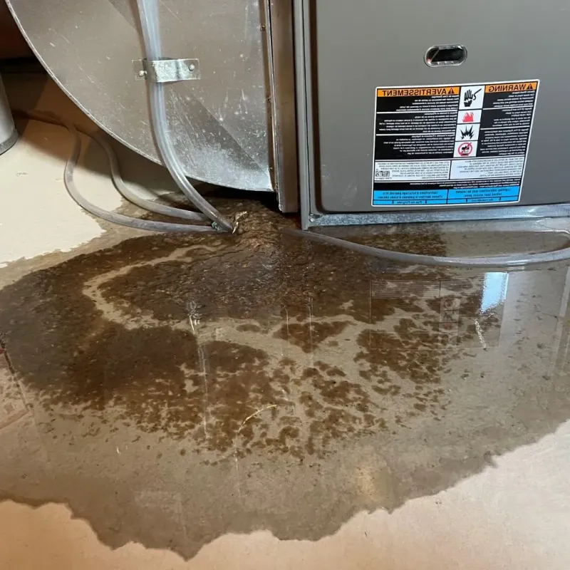 Pipe Burst and Leak Restoration in Quakertown, PA
