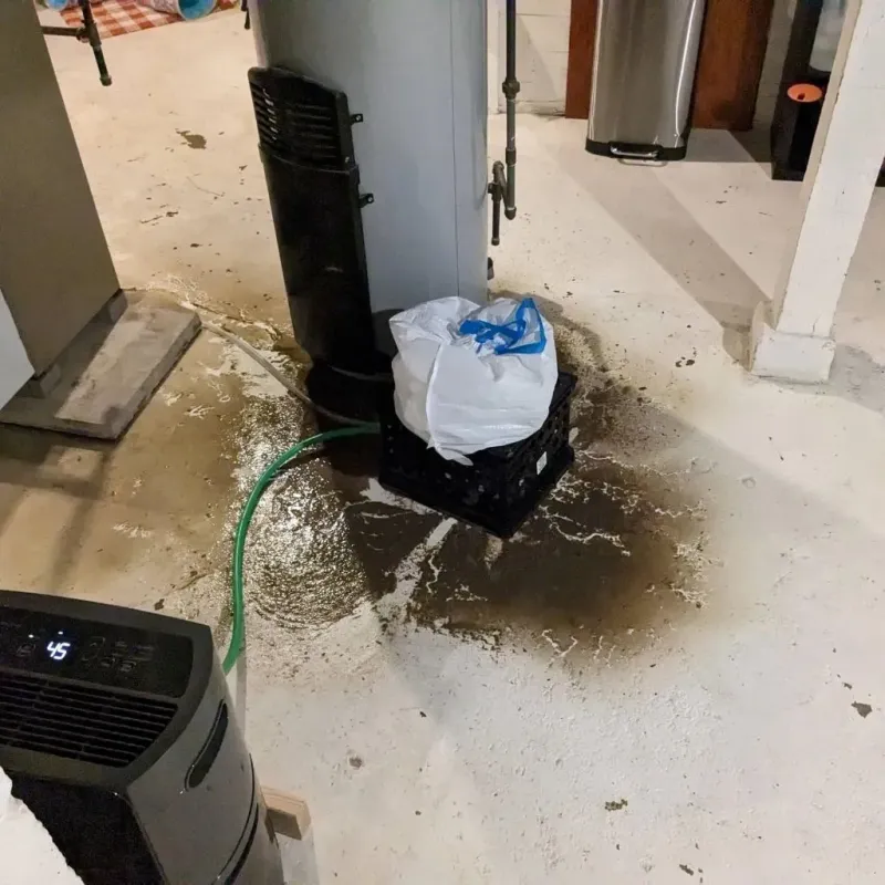 Sewage Backup Cleanup Service in Quakertown, PA